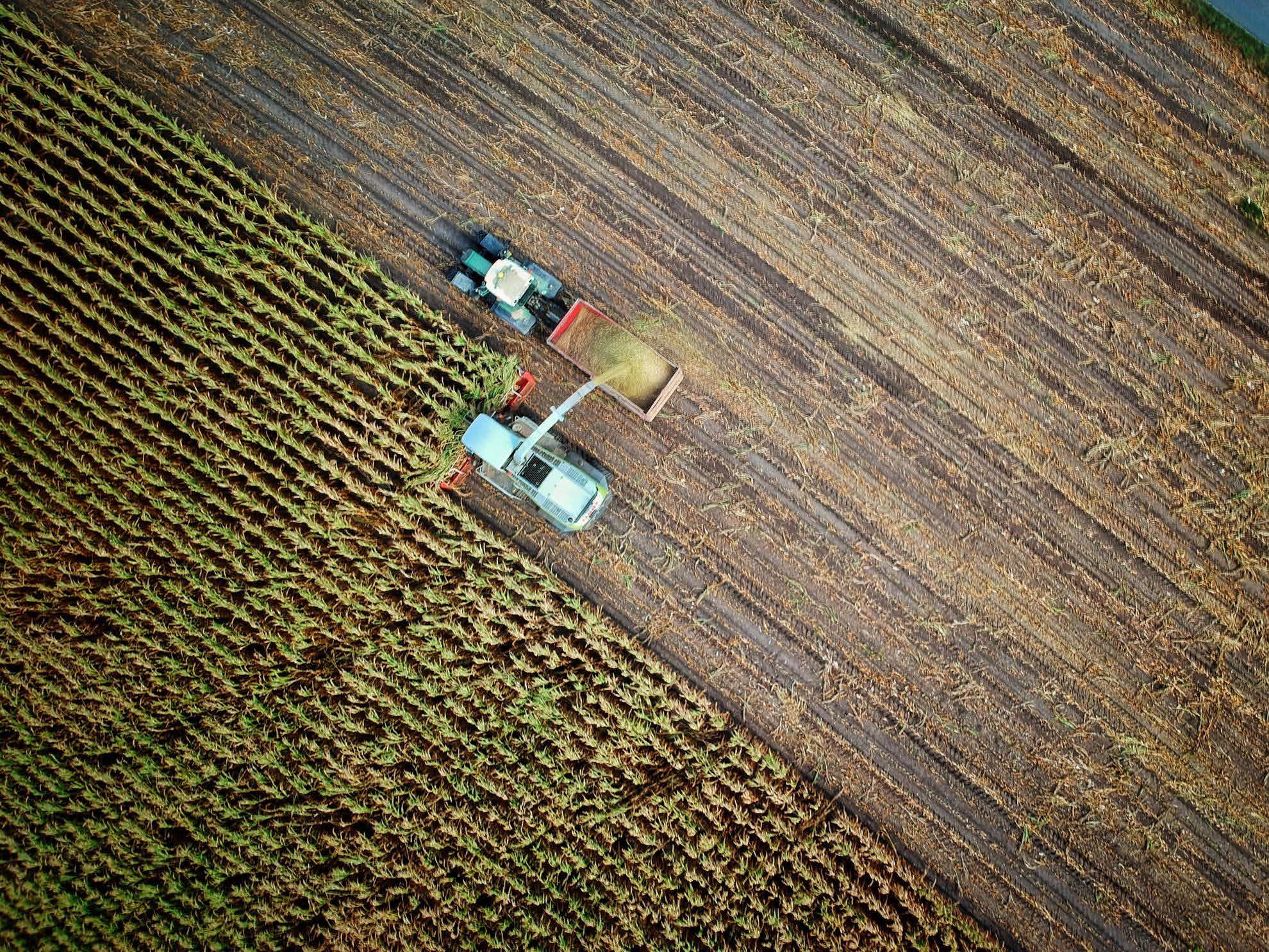 Come Studiare Economia Agraria Con Ripetizioni e Corsi